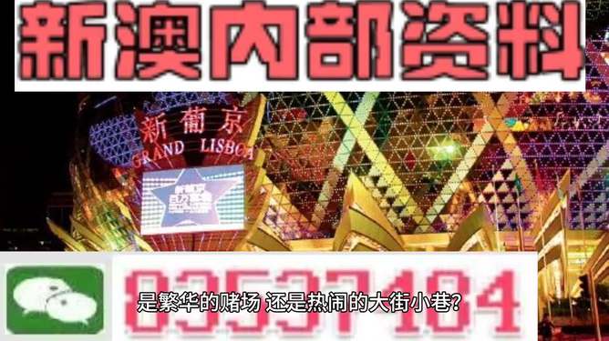 澳门精准免费资料大全与旅游团，探索澳门之旅的必备指南