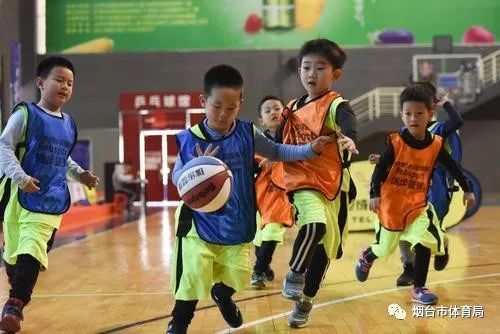 青少年健康饮食与运动计划指南