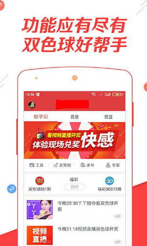 澳门六彩资料与犯罪问题深度探讨