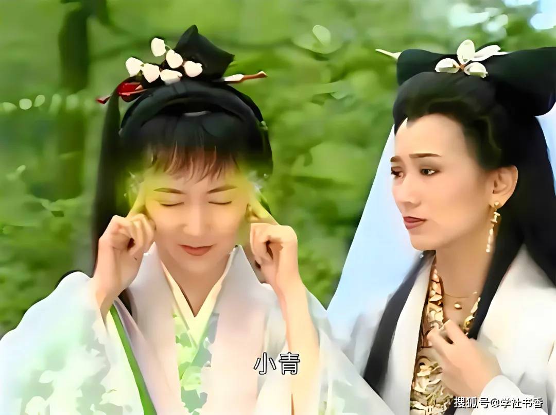 沉默的熊 第6页