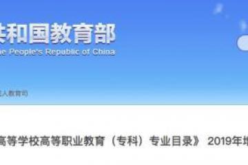 跨境电子商务的专业类别深度解析