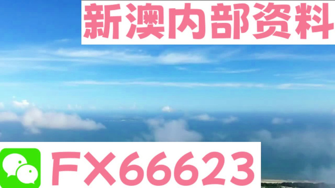 探索未来，2024新澳资料免费精准资料的价值与重要性