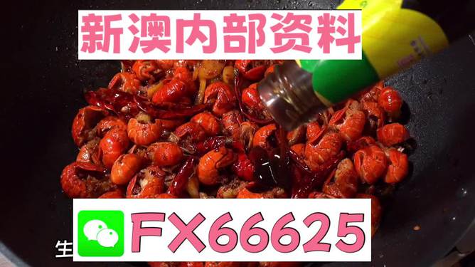 新澳2024年开奖资料全面解析